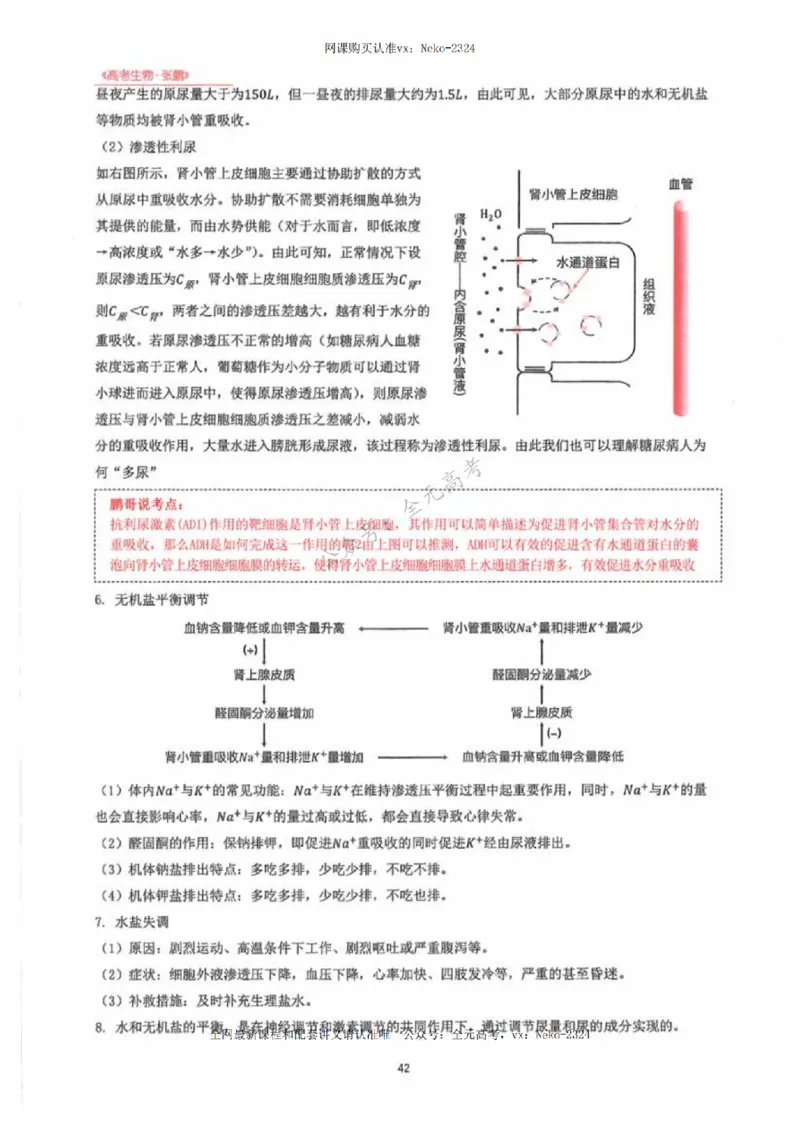 2024张鹏生物一轮复习讲义下_2024-2025高三（6-6月题库）_2024年09月试卷_张鹏