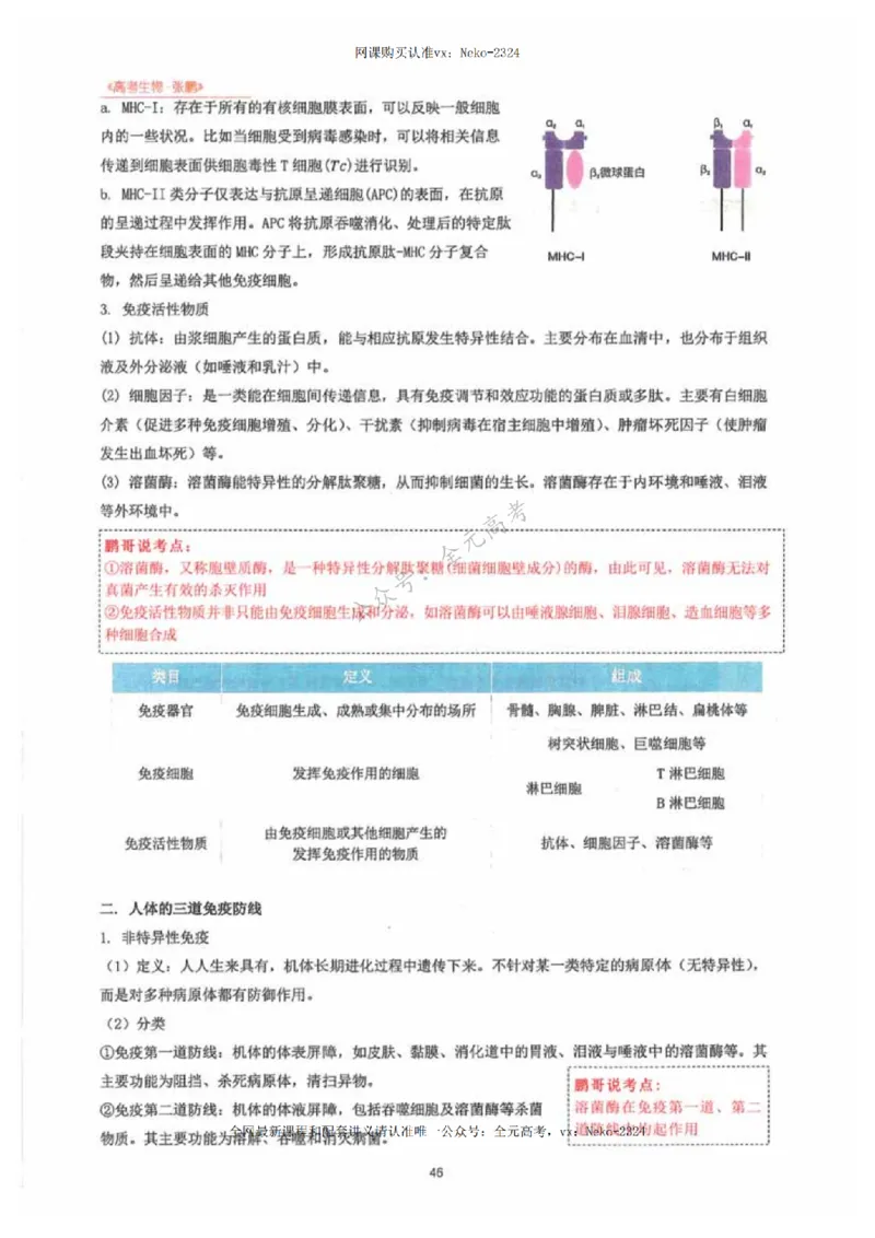 2024张鹏生物一轮复习讲义下_2024-2025高三（6-6月题库）_2024年09月试卷_张鹏