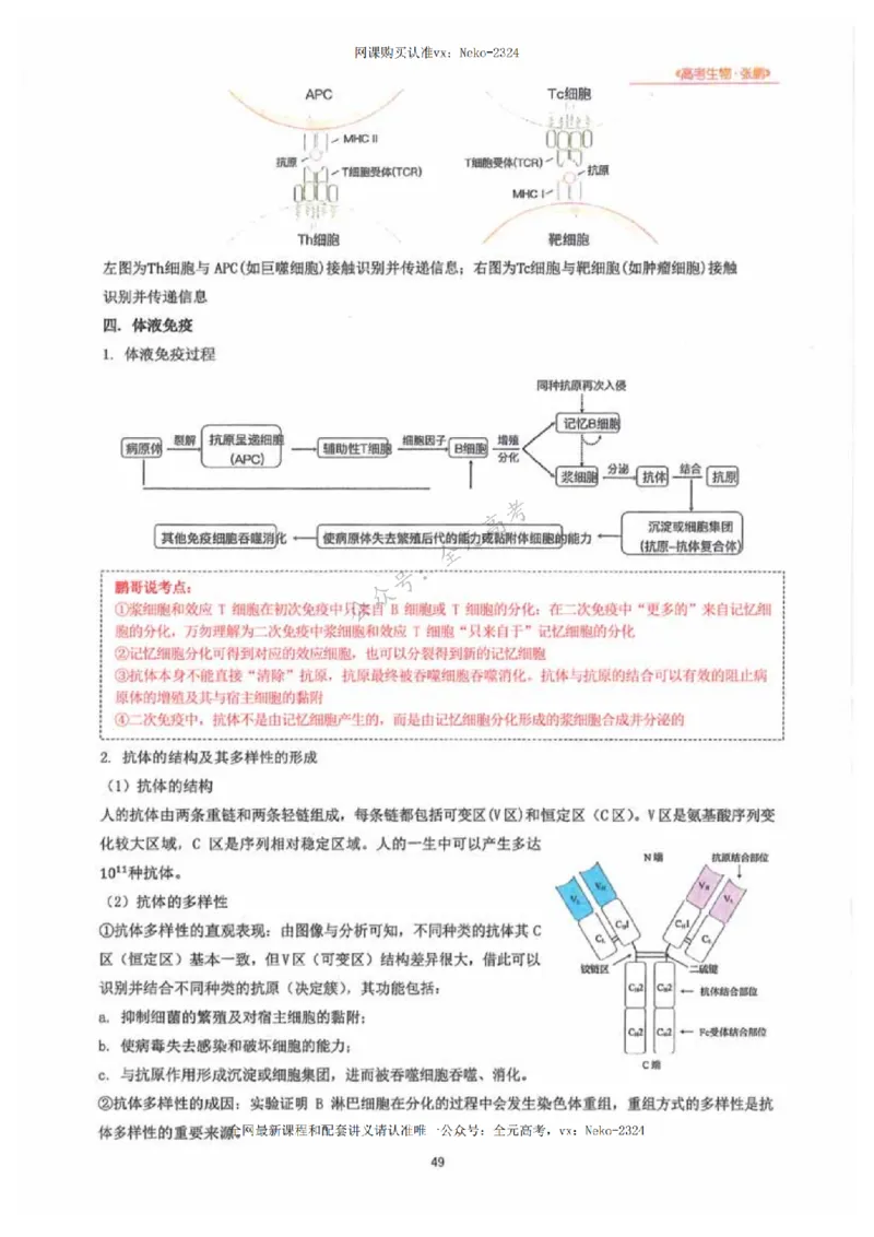 2024张鹏生物一轮复习讲义下_2024-2025高三（6-6月题库）_2024年09月试卷_张鹏