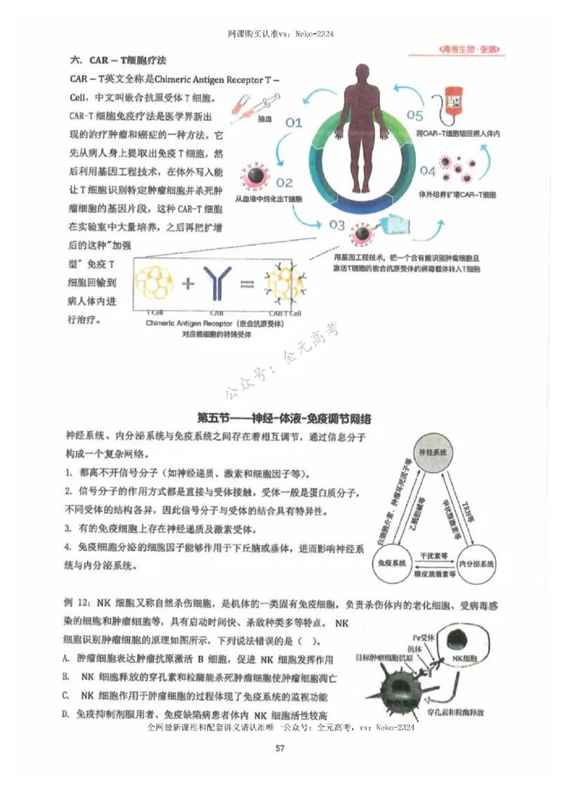 2024张鹏生物一轮复习讲义下_2024-2025高三（6-6月题库）_2024年09月试卷_张鹏