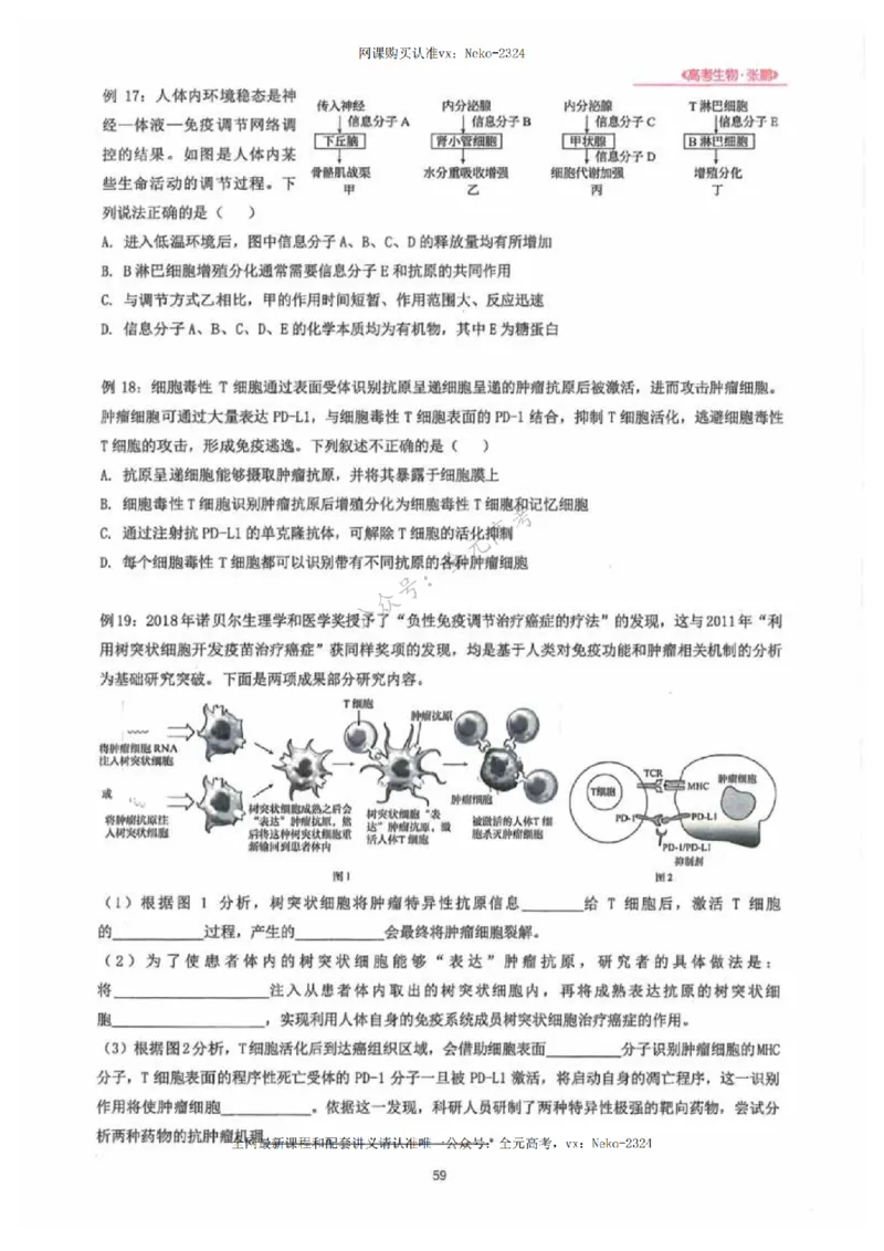 2024张鹏生物一轮复习讲义下_2024-2025高三（6-6月题库）_2024年09月试卷_张鹏