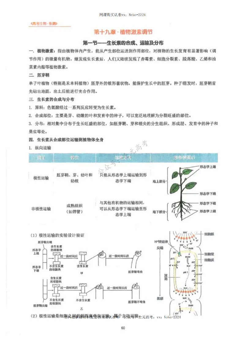 2024张鹏生物一轮复习讲义下_2024-2025高三（6-6月题库）_2024年09月试卷_张鹏