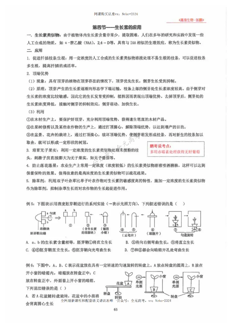 2024张鹏生物一轮复习讲义下_2024-2025高三（6-6月题库）_2024年09月试卷_张鹏