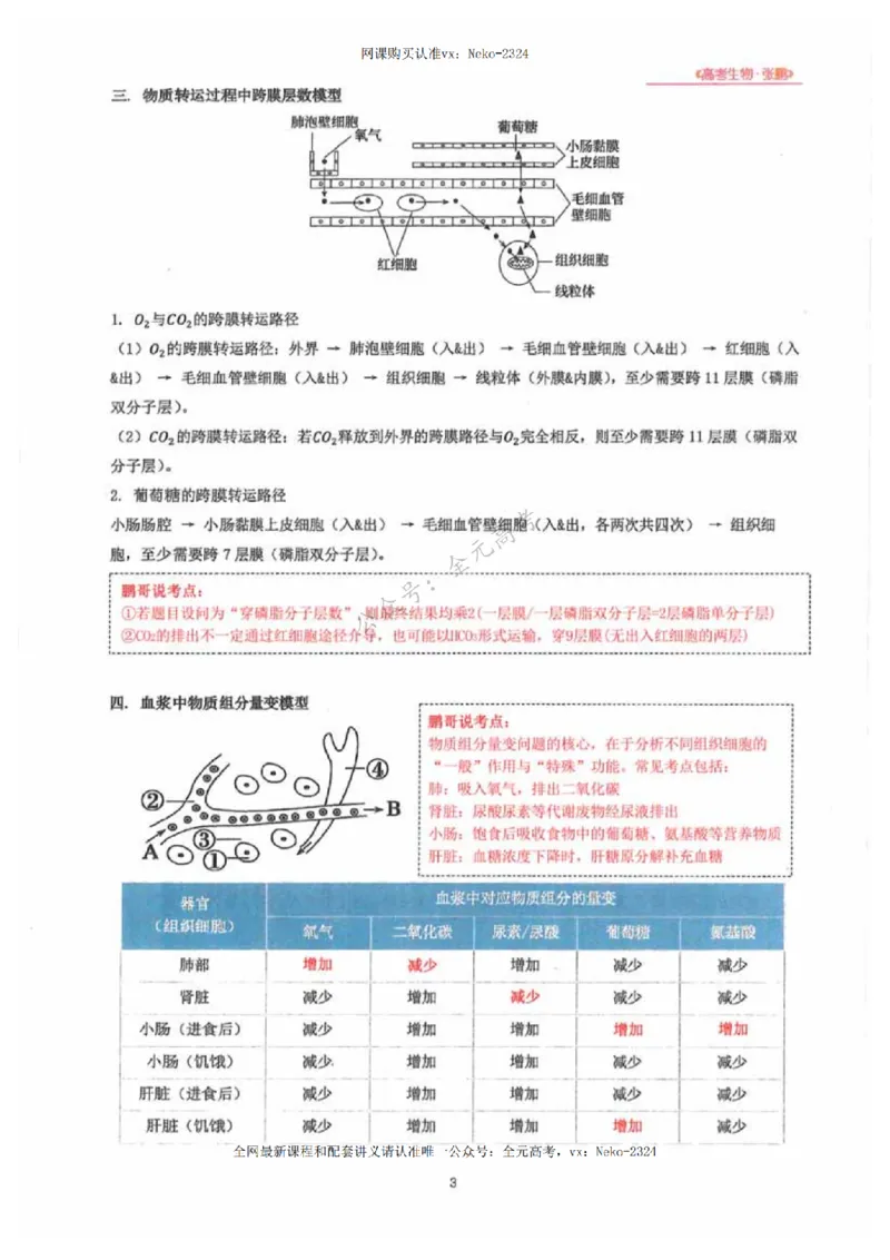 2024张鹏生物一轮复习讲义下_2024-2025高三（6-6月题库）_2024年09月试卷_张鹏