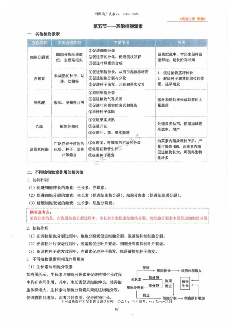 2024张鹏生物一轮复习讲义下_2024-2025高三（6-6月题库）_2024年09月试卷_张鹏