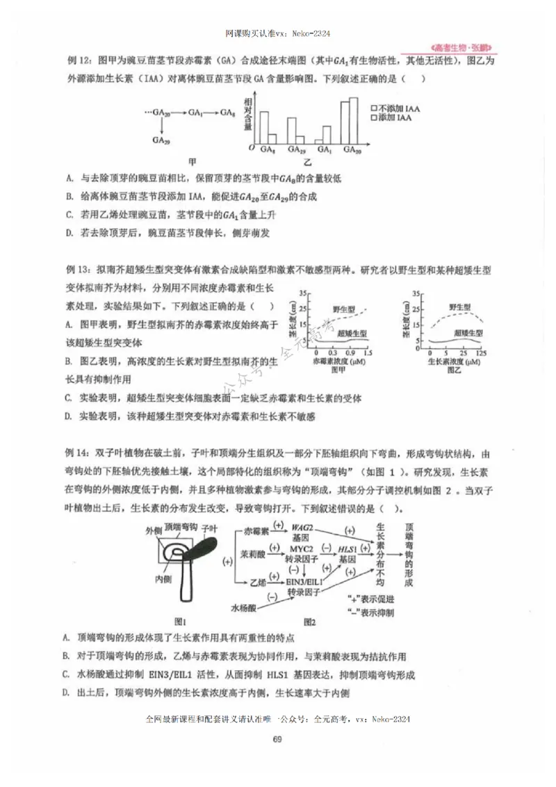 2024张鹏生物一轮复习讲义下_2024-2025高三（6-6月题库）_2024年09月试卷_张鹏