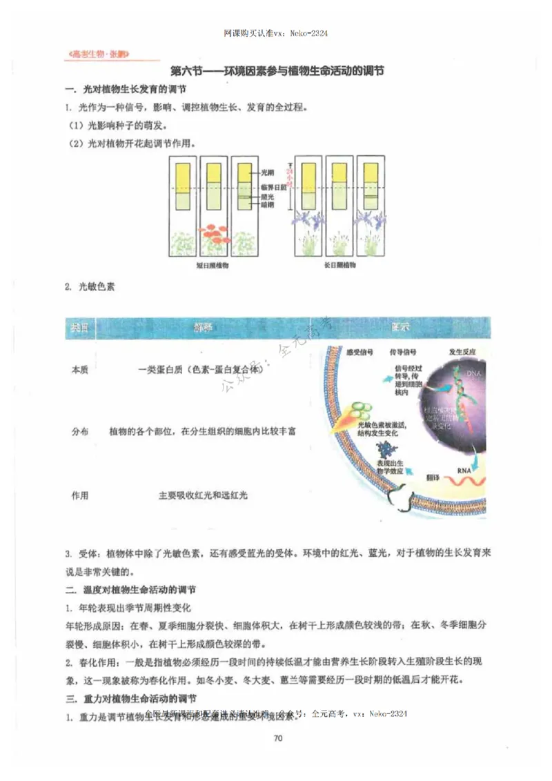 2024张鹏生物一轮复习讲义下_2024-2025高三（6-6月题库）_2024年09月试卷_张鹏