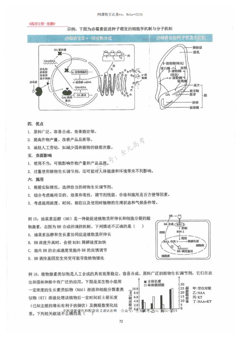 2024张鹏生物一轮复习讲义下_2024-2025高三（6-6月题库）_2024年09月试卷_张鹏
