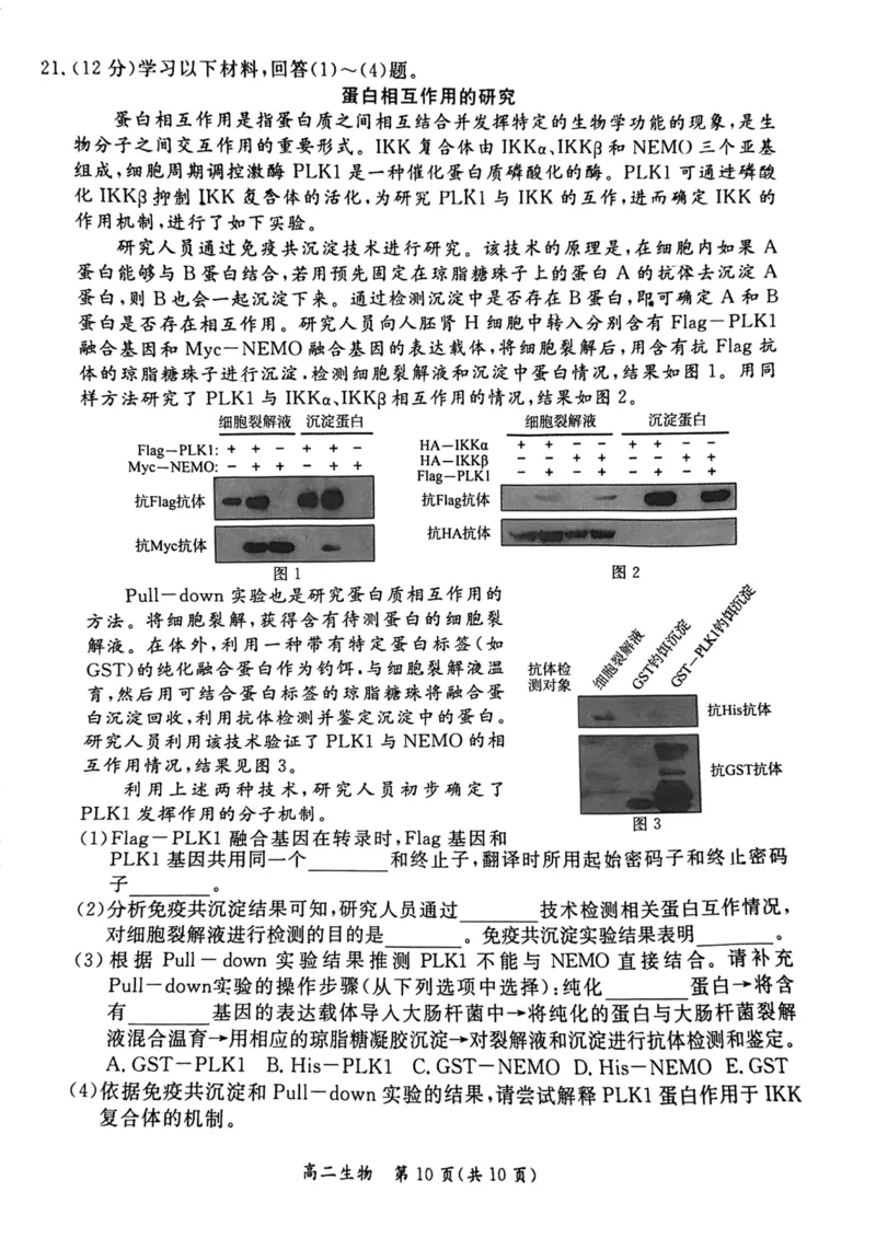 2024北京东城高二（下）期末政治试题及答案_2024-2025高三（6-6月题库）_2024年07月试卷_2407172024届北京市东城区高二（下）期末考试