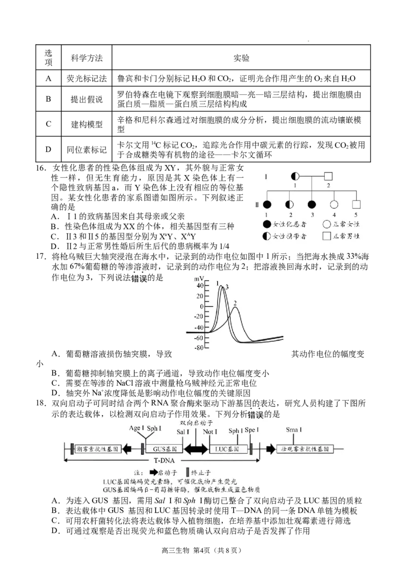 江苏省扬州市2024届高三下学期考前调研模拟预测测试生物试题+答案_2024年5月_01按日期_28号_2024届江苏省扬州市高三考前调研模拟预测