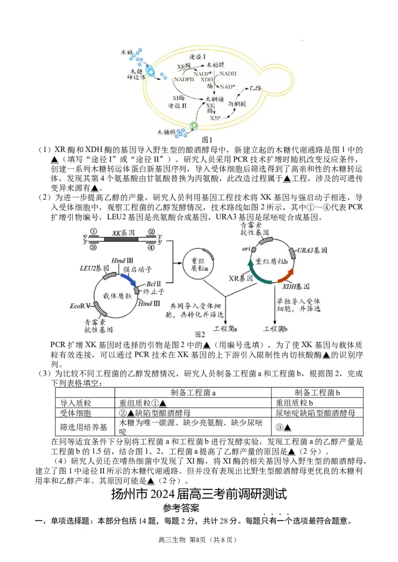 江苏省扬州市2024届高三下学期考前调研模拟预测测试生物试题+答案_2024年5月_01按日期_28号_2024届江苏省扬州市高三考前调研模拟预测
