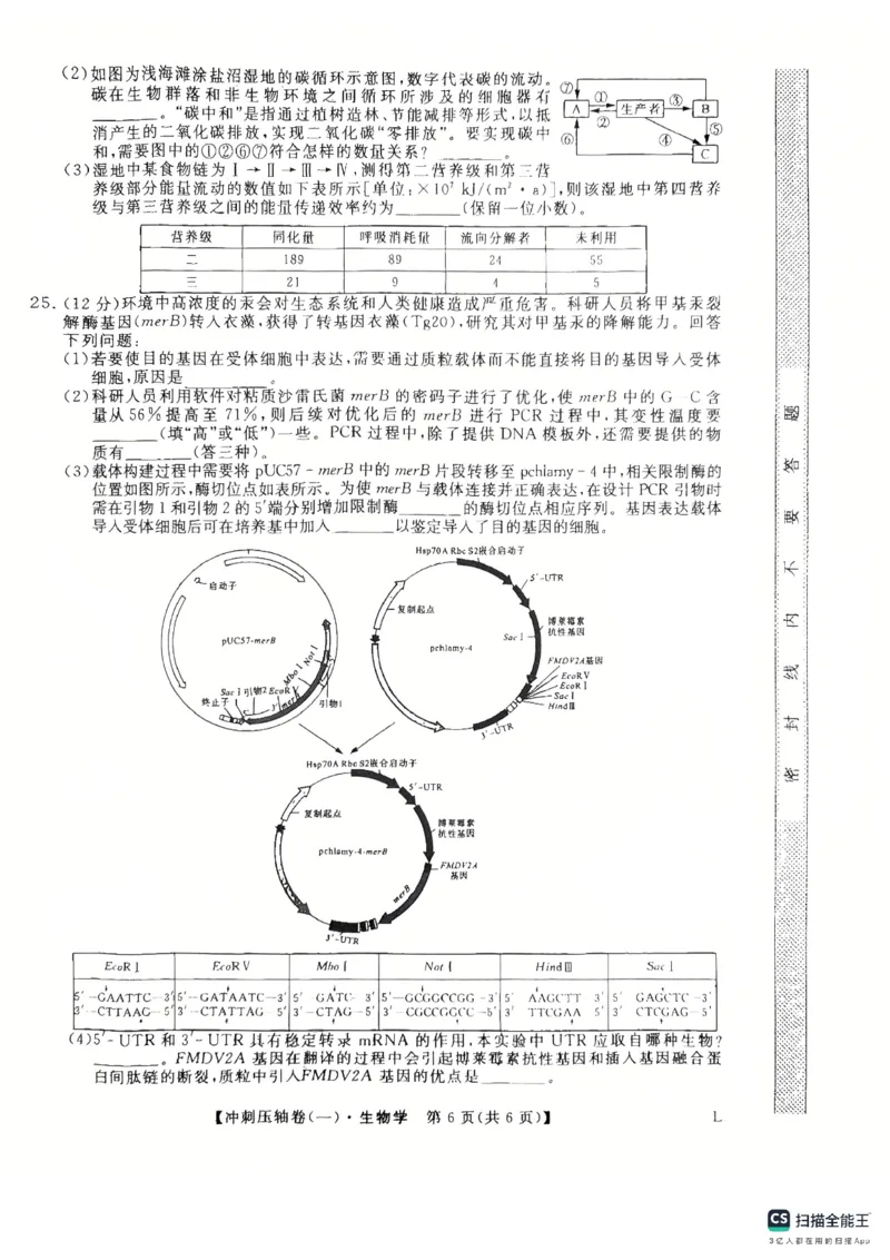 2025年普通高校招生考试冲刺压轴卷(一)生物试题含答案_2024-2026高三（6-6月题库）_2025年04月试卷_04262025年普通高校招生考试冲刺压轴卷(一)（全科）