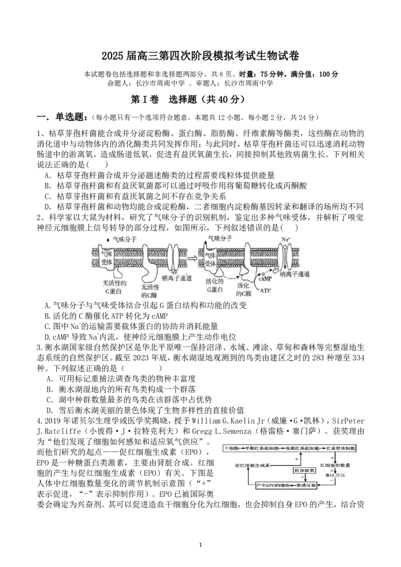 2025届高三第四阶段模拟考试生物试卷_2024-2025高三（6-6月题库）_2024年12月试卷_1208湖南省长沙市周南中学2024-2025学年高三上学期第四阶段模拟考试