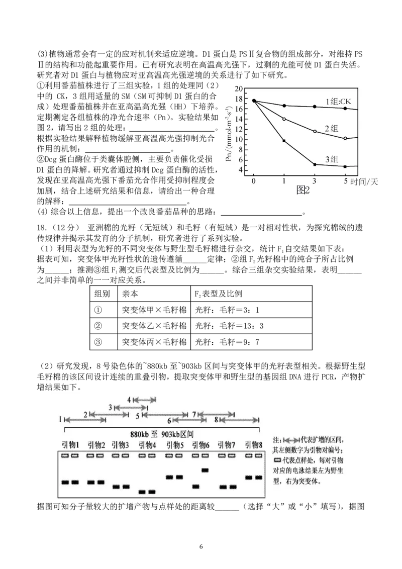 2025届高三第四阶段模拟考试生物试卷_2024-2025高三（6-6月题库）_2024年12月试卷_1208湖南省长沙市周南中学2024-2025学年高三上学期第四阶段模拟考试