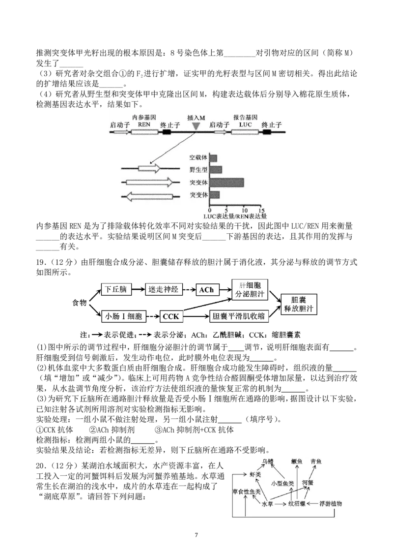 2025届高三第四阶段模拟考试生物试卷_2024-2025高三（6-6月题库）_2024年12月试卷_1208湖南省长沙市周南中学2024-2025学年高三上学期第四阶段模拟考试