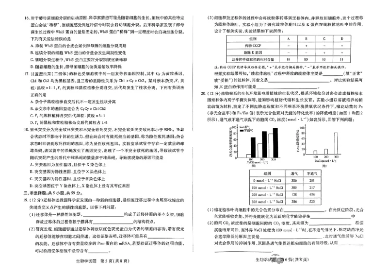 2025届皖豫天一大联考高三毕业班阶段性测试（二）-生物_2024-2025高三（6-6月题库）_2024年10月试卷_10132025届皖豫天一大联考高三毕业班阶段性测试（二）