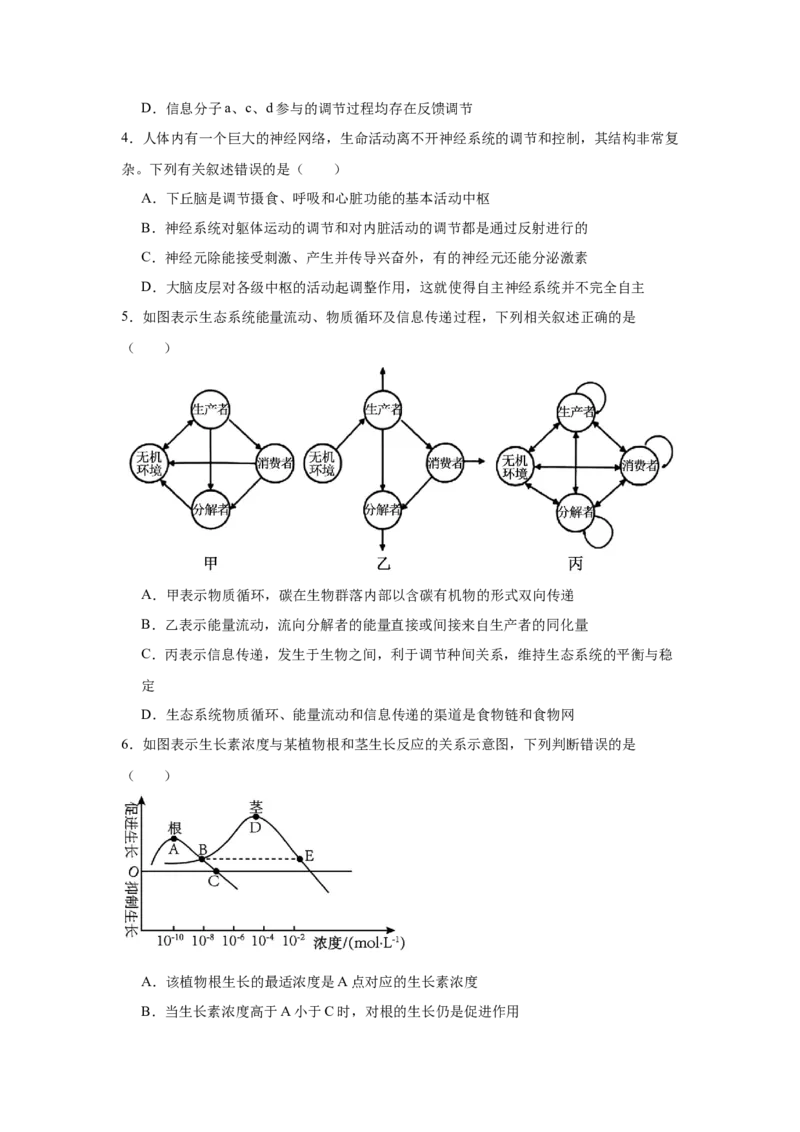 吉林省四平市第一高级中学2024-2025学年高二下学期期初验收考试生物Word版含答案_2024-2025高二（7-7月题库）_2025年05月试卷