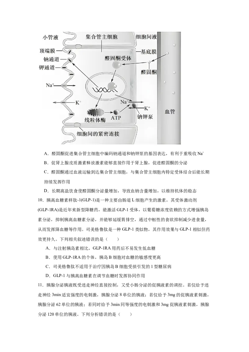吉林省四平市第一高级中学2024-2025学年高二下学期期初验收考试生物Word版含答案_2024-2025高二（7-7月题库）_2025年05月试卷
