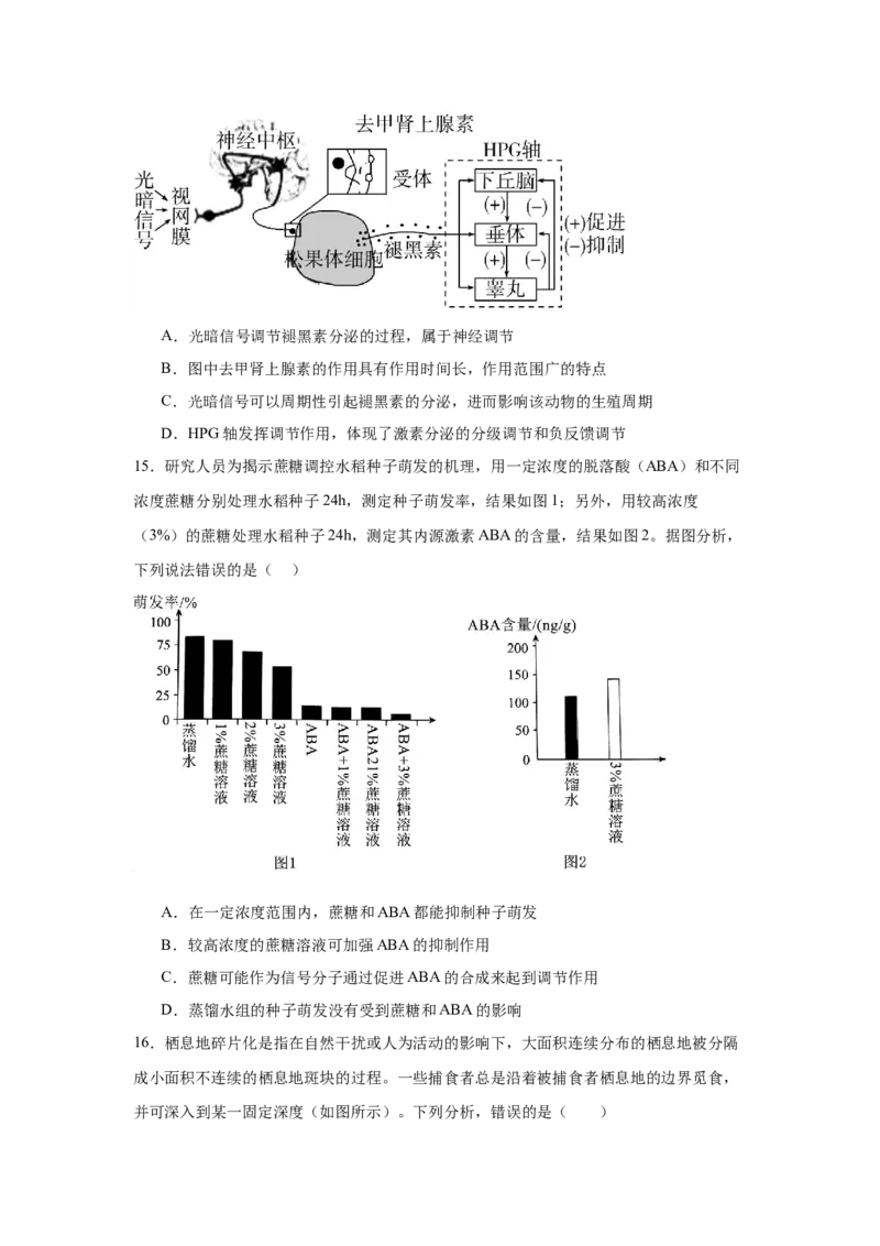 吉林省四平市第一高级中学2024-2025学年高二下学期期初验收考试生物Word版含答案_2024-2025高二（7-7月题库）_2025年05月试卷