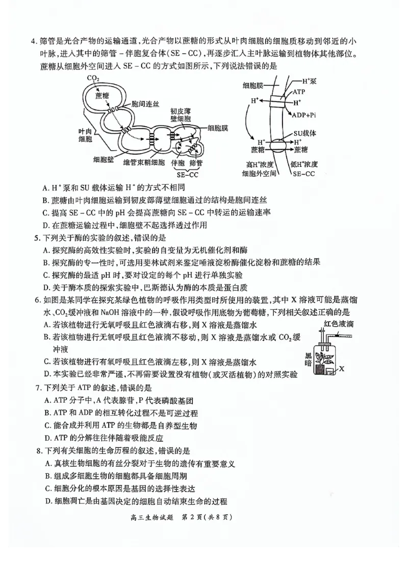 河南豫北名校2024届高三上学期高考备考精英联赛调研卷（1月期末）生物(1)_2024年2月_022月合集_2024届河南豫北名校高三上学期高考备考精英联赛调研卷（1月期末）