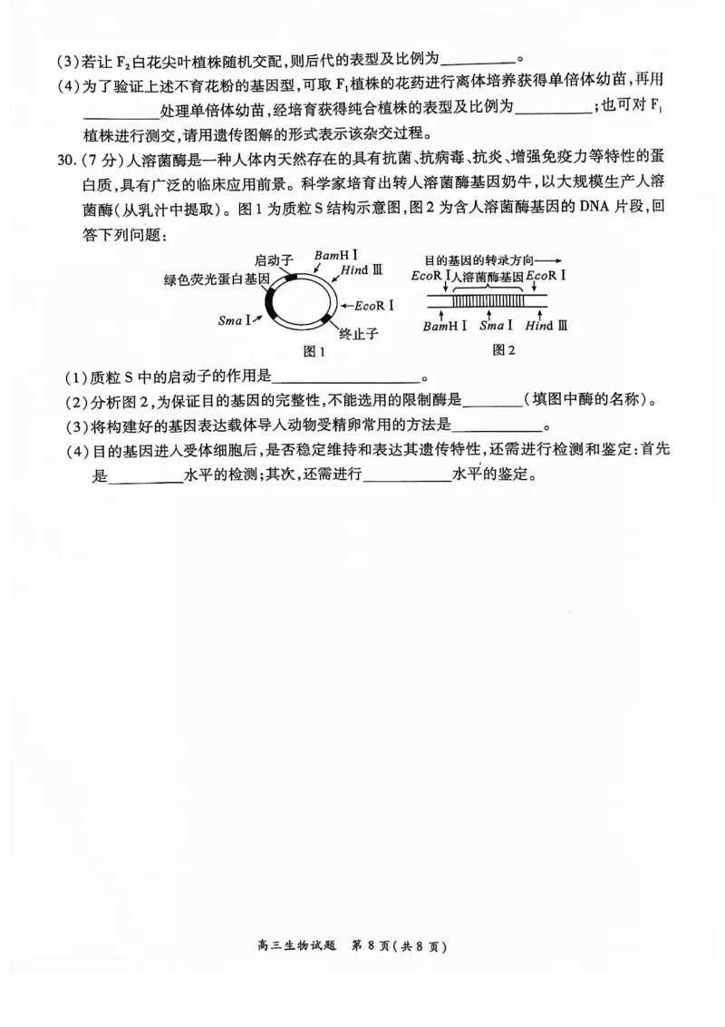 河南豫北名校2024届高三上学期高考备考精英联赛调研卷（1月期末）生物(1)_2024年2月_022月合集_2024届河南豫北名校高三上学期高考备考精英联赛调研卷（1月期末）