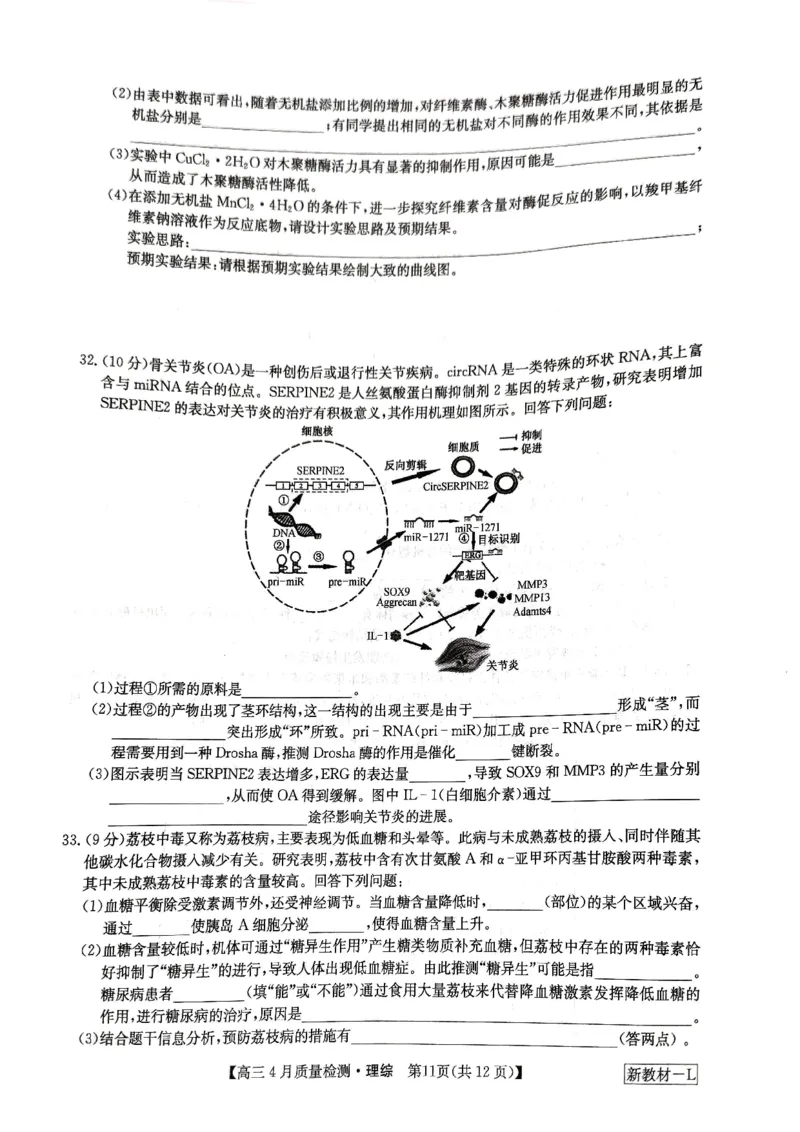 河南省九师联盟理综试题_2024年5月_01按日期_1号_2024届河南省九师联盟高三下学期4月质量检测_河南省九师联盟2024届高三下学期4月质量检测理综试题