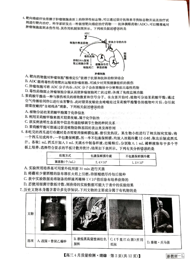 河南省九师联盟理综试题_2024年5月_01按日期_1号_2024届河南省九师联盟高三下学期4月质量检测_河南省九师联盟2024届高三下学期4月质量检测理综试题