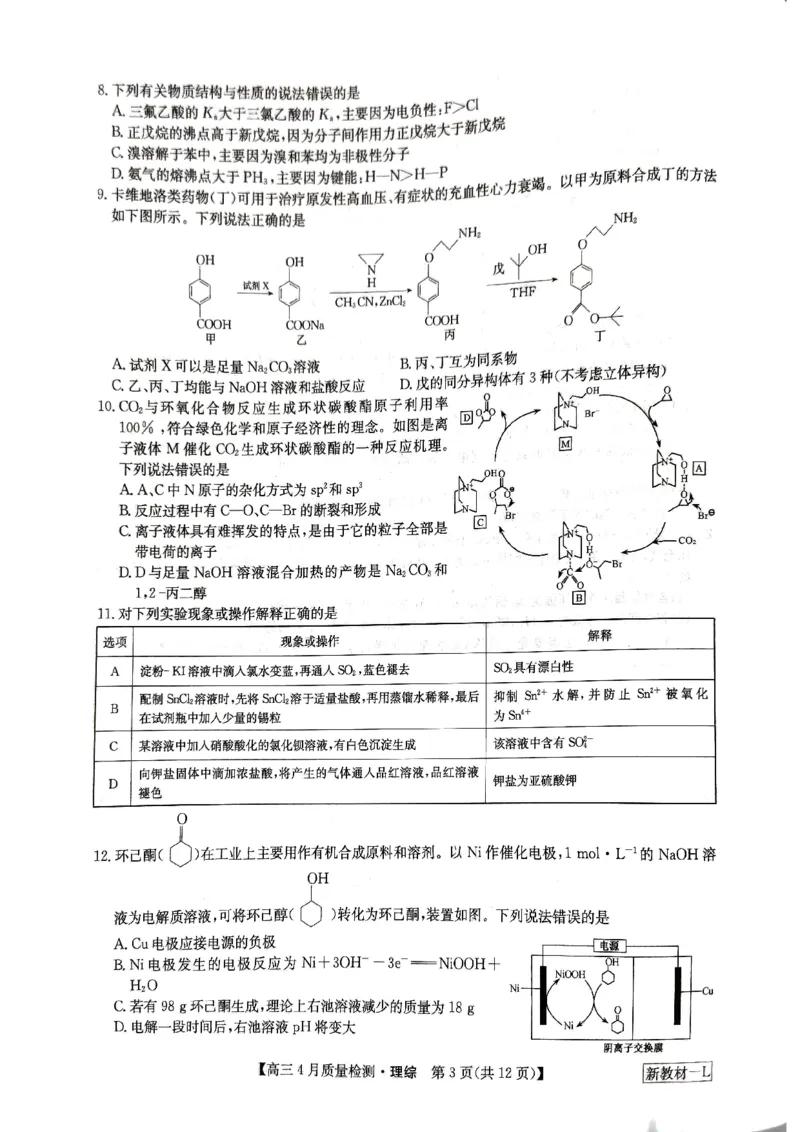 河南省九师联盟理综试题_2024年5月_01按日期_1号_2024届河南省九师联盟高三下学期4月质量检测_河南省九师联盟2024届高三下学期4月质量检测理综试题