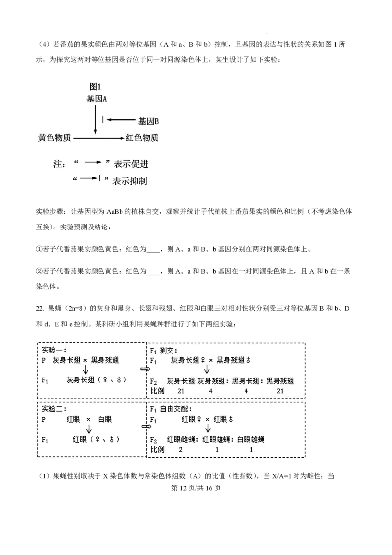 2025届江苏省高邮市高三10月学情调研-生物试题+答案_2024-2025高三（6-6月题库）_2024年10月试卷_1021江苏省高邮市2024-2025学年2025届高三（上）学期10月学情调研测试