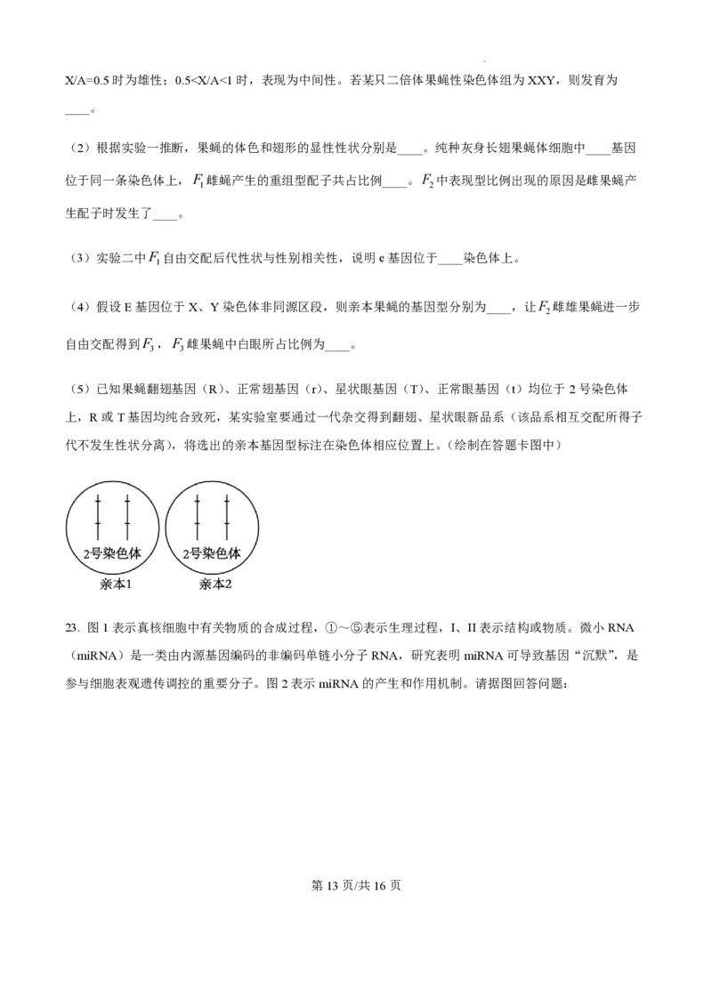 2025届江苏省高邮市高三10月学情调研-生物试题+答案_2024-2025高三（6-6月题库）_2024年10月试卷_1021江苏省高邮市2024-2025学年2025届高三（上）学期10月学情调研测试