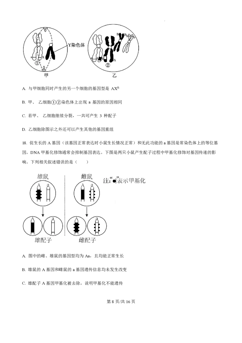 2025届江苏省高邮市高三10月学情调研-生物试题+答案_2024-2025高三（6-6月题库）_2024年10月试卷_1021江苏省高邮市2024-2025学年2025届高三（上）学期10月学情调研测试
