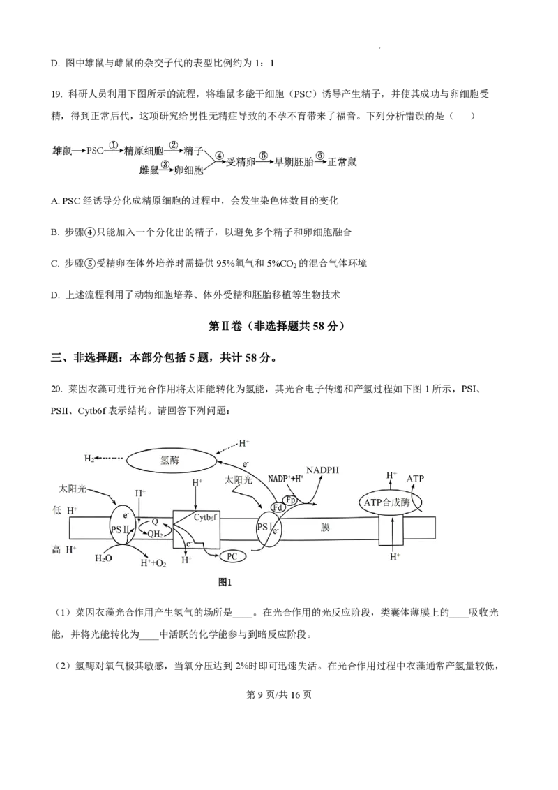 2025届江苏省高邮市高三10月学情调研-生物试题+答案_2024-2025高三（6-6月题库）_2024年10月试卷_1021江苏省高邮市2024-2025学年2025届高三（上）学期10月学情调研测试