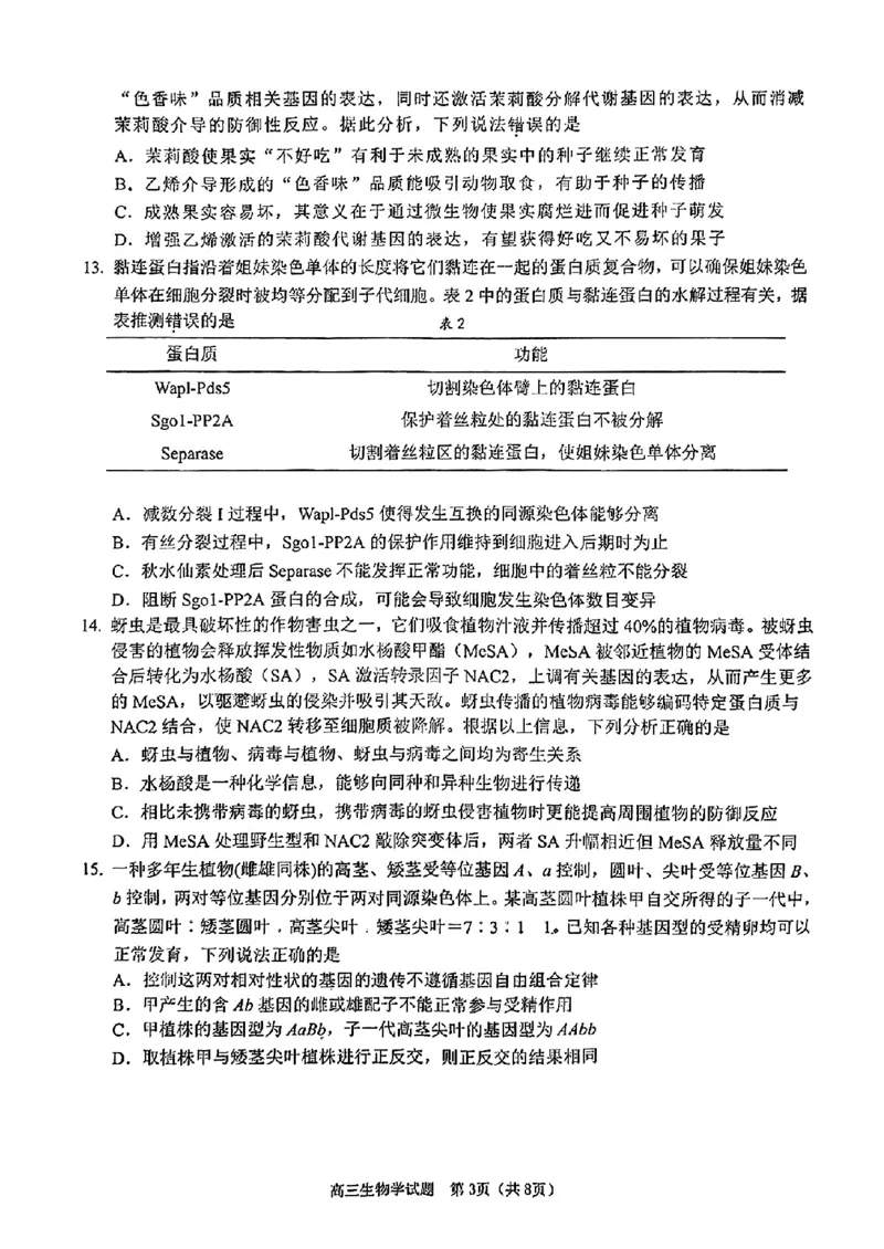 2025届江门市高三上学期10月调研测试生物试卷+答案_2024-2025高三（6-6月题库）_2024年10月试卷_1027广东省江门市2025届高三上学期10月调研考试