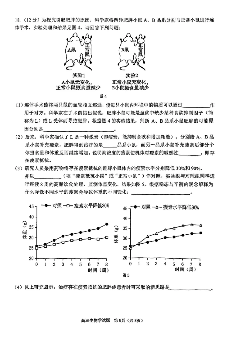 2025届江门市高三上学期10月调研测试生物试卷+答案_2024-2025高三（6-6月题库）_2024年10月试卷_1027广东省江门市2025届高三上学期10月调研考试