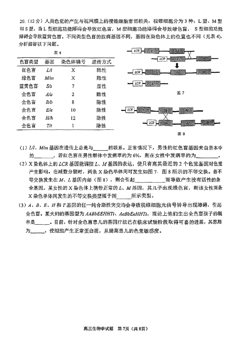 2025届江门市高三上学期10月调研测试生物试卷+答案_2024-2025高三（6-6月题库）_2024年10月试卷_1027广东省江门市2025届高三上学期10月调研考试