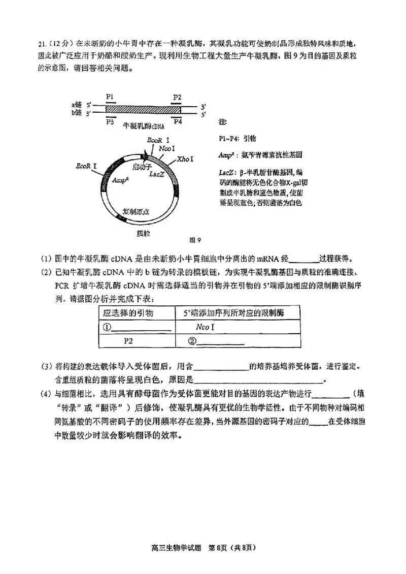 2025届江门市高三上学期10月调研测试生物试卷+答案_2024-2025高三（6-6月题库）_2024年10月试卷_1027广东省江门市2025届高三上学期10月调研考试