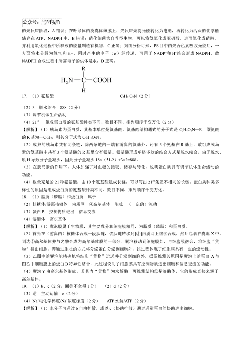 2025届百师联盟高三一轮复习联考（一）生物试题（含解析）_2024-2025高三（6-6月题库）_2024年09月试卷_09282025届百师联盟高三一轮复习联考（一）