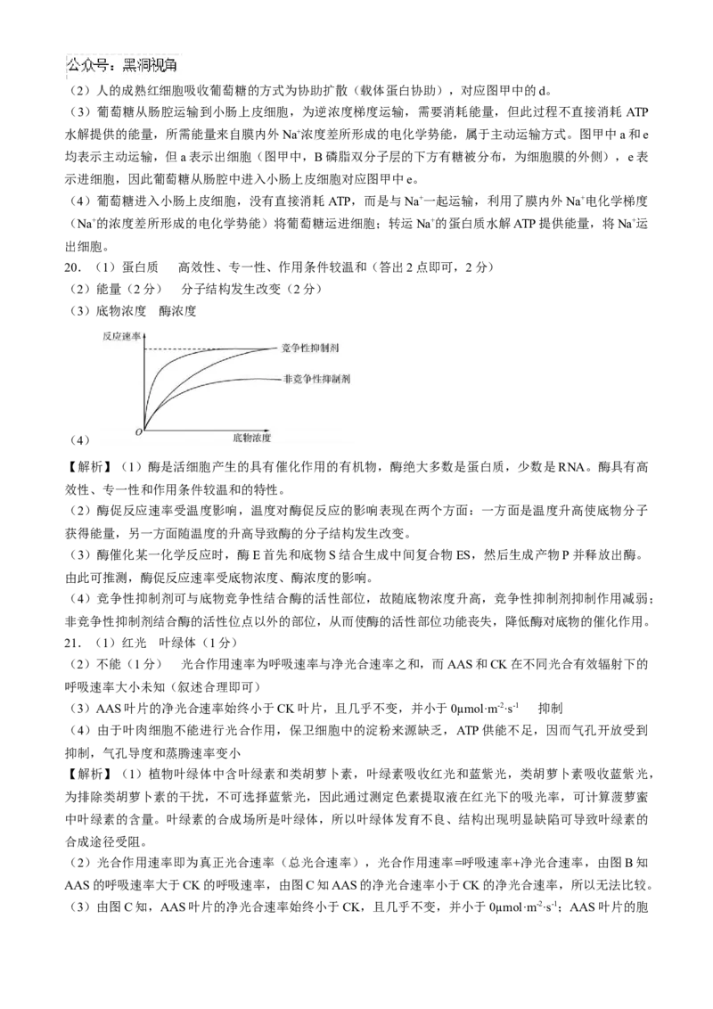 2025届百师联盟高三一轮复习联考（一）生物试题（含解析）_2024-2025高三（6-6月题库）_2024年09月试卷_09282025届百师联盟高三一轮复习联考（一）