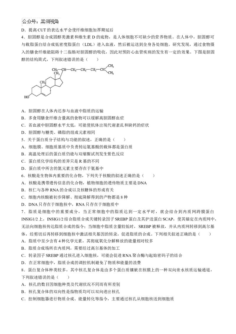 2025届百师联盟高三一轮复习联考（一）生物试题（含解析）_2024-2025高三（6-6月题库）_2024年09月试卷_09282025届百师联盟高三一轮复习联考（一）