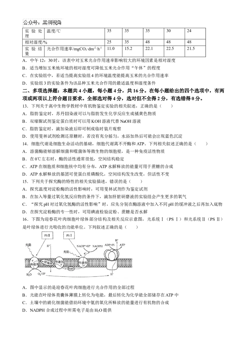 2025届百师联盟高三一轮复习联考（一）生物试题（含解析）_2024-2025高三（6-6月题库）_2024年09月试卷_09282025届百师联盟高三一轮复习联考（一）