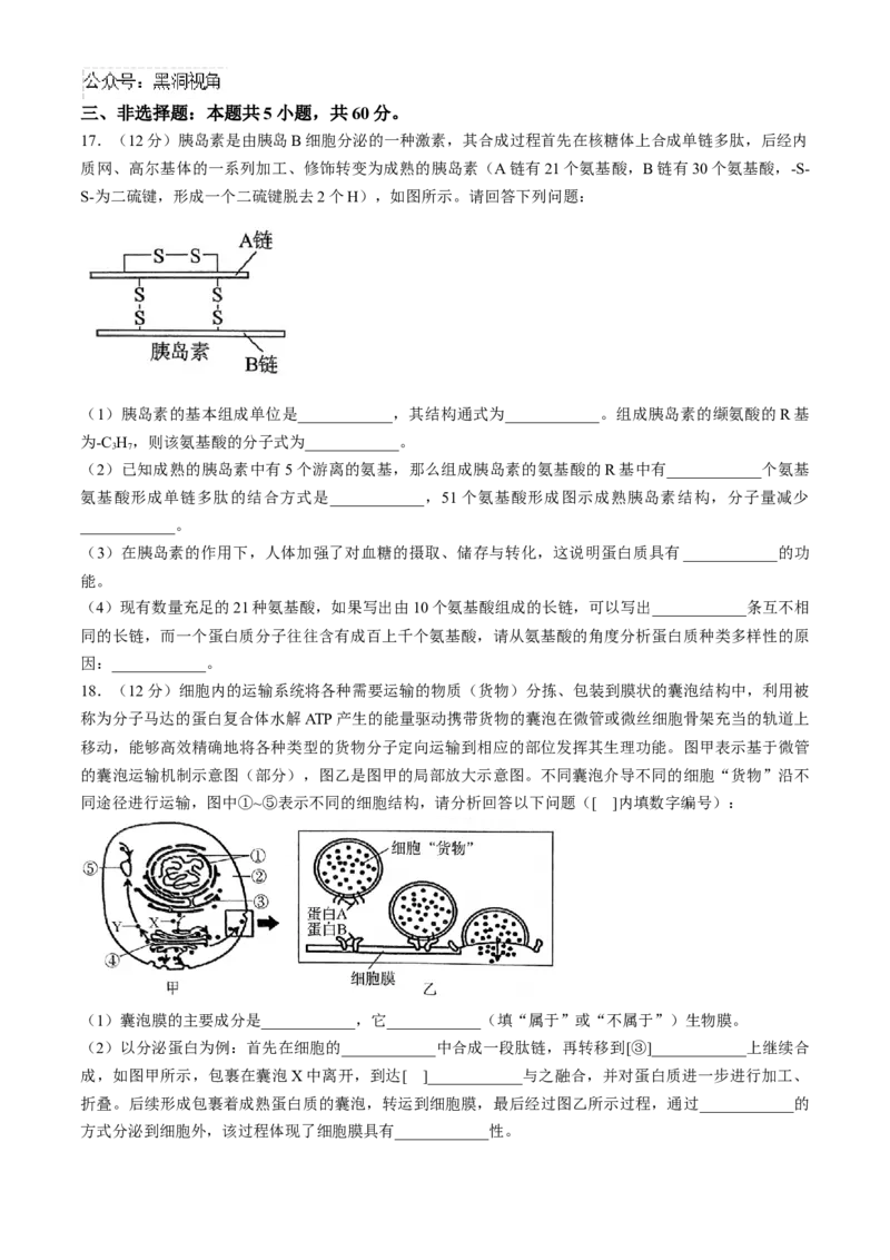 2025届百师联盟高三一轮复习联考（一）生物试题（含解析）_2024-2025高三（6-6月题库）_2024年09月试卷_09282025届百师联盟高三一轮复习联考（一）