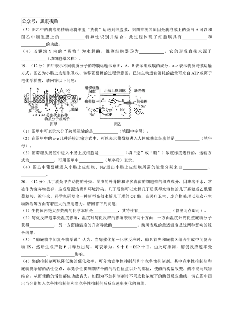 2025届百师联盟高三一轮复习联考（一）生物试题（含解析）_2024-2025高三（6-6月题库）_2024年09月试卷_09282025届百师联盟高三一轮复习联考（一）