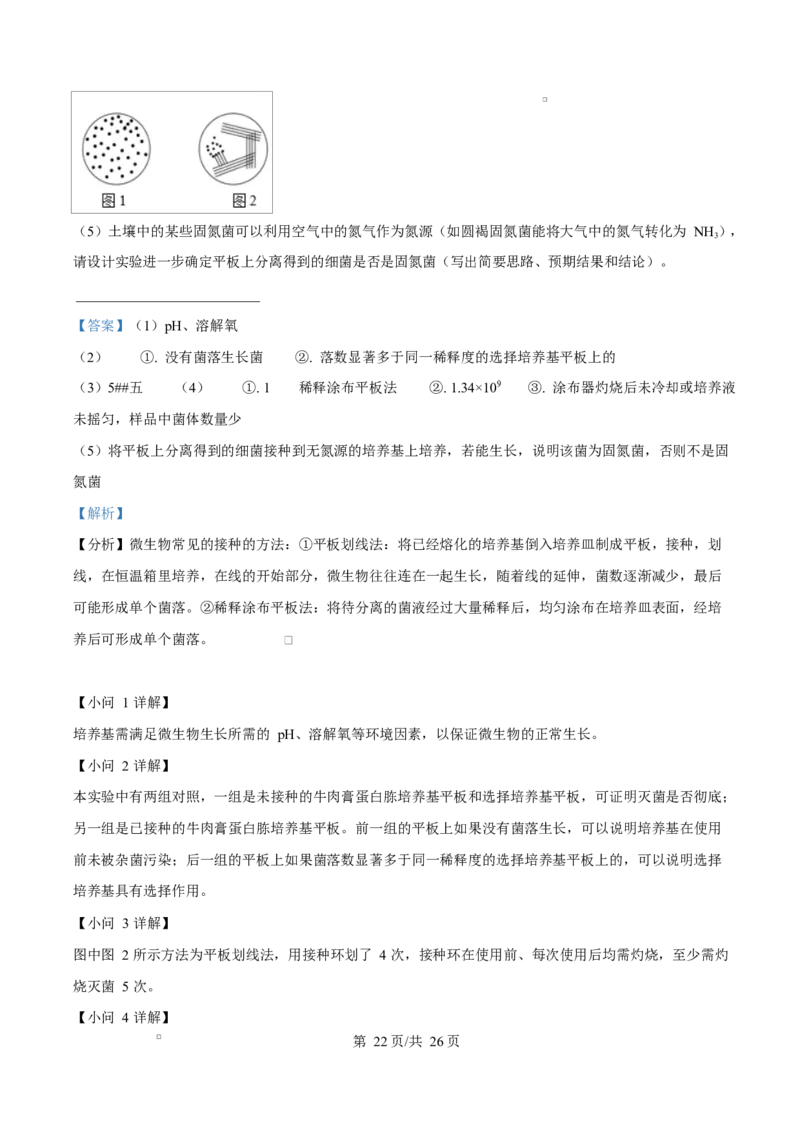 内蒙古自治区赤峰市红山区赤峰第四中学2024-2025学年高二下学期4月月考生物试题Word版含解析_2024-2025高二（7-7月题库）_2025年05月试卷