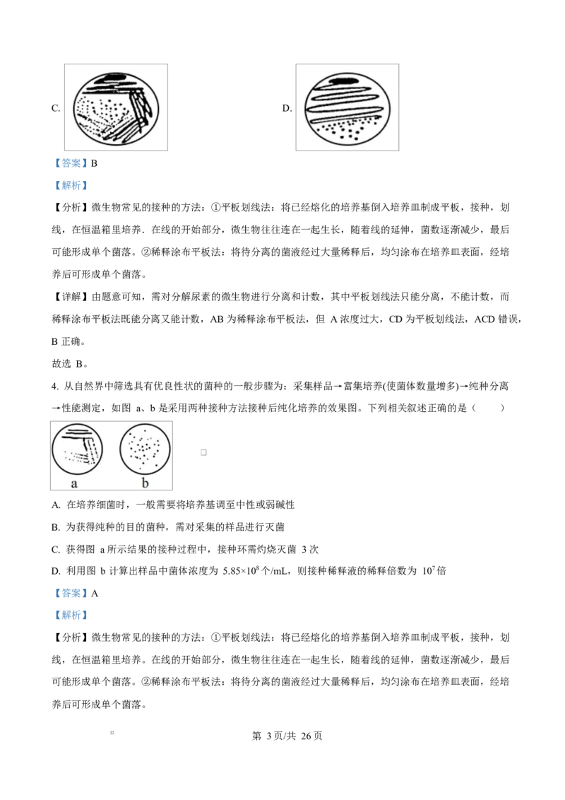 内蒙古自治区赤峰市红山区赤峰第四中学2024-2025学年高二下学期4月月考生物试题Word版含解析_2024-2025高二（7-7月题库）_2025年05月试卷