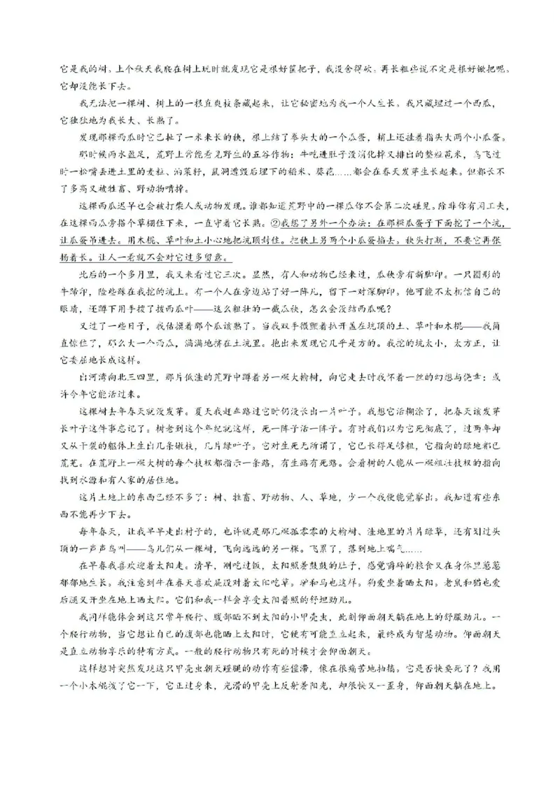 2025届安徽省毫州市皖南八校高三摸底考试语文+答案_2024-2025高三（6-6月题库）_2024年09月试卷_09012025届安徽省毫州市皖南八校高三摸底大联考