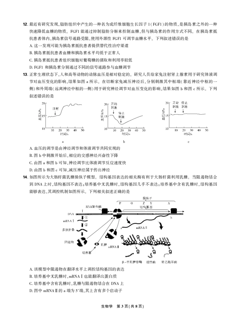 2024东北三省精准教学2024年12月高三联考生物强化卷正文_2024-2025高三（6-6月题库）_2024年12月试卷_1206东北三省精准教学2024-2025学年高三上学期12月联考强化卷
