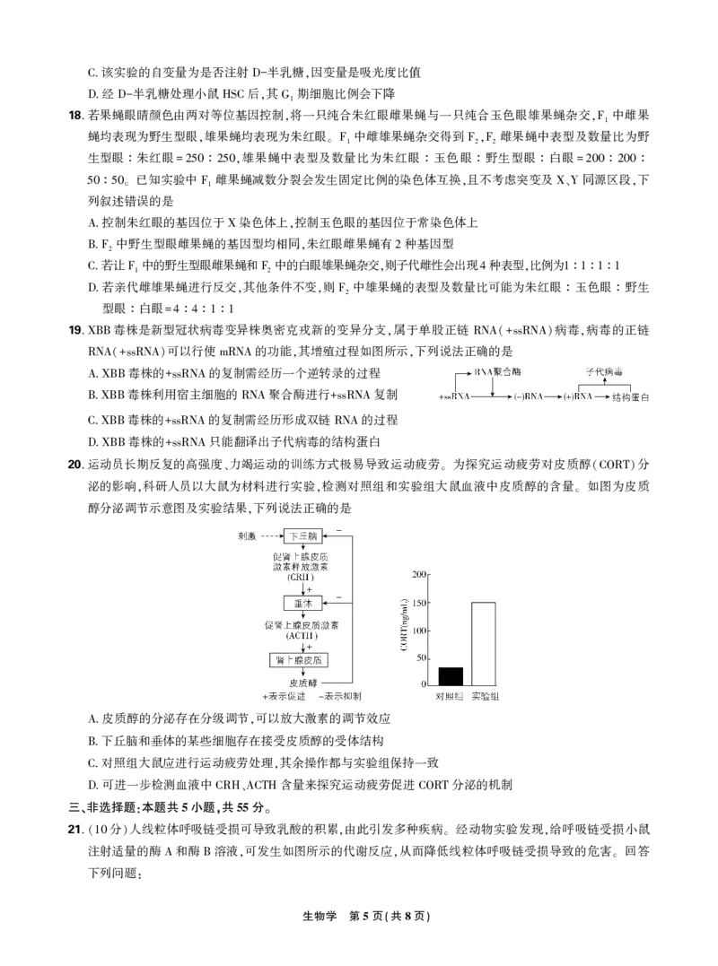 2024东北三省精准教学2024年12月高三联考生物强化卷正文_2024-2025高三（6-6月题库）_2024年12月试卷_1206东北三省精准教学2024-2025学年高三上学期12月联考强化卷