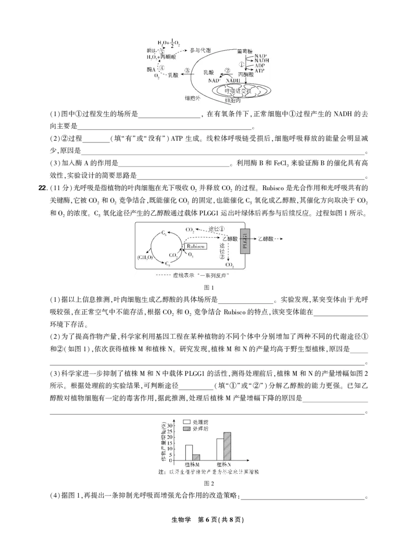 2024东北三省精准教学2024年12月高三联考生物强化卷正文_2024-2025高三（6-6月题库）_2024年12月试卷_1206东北三省精准教学2024-2025学年高三上学期12月联考强化卷