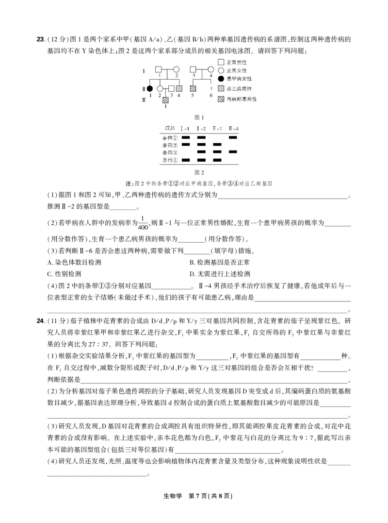 2024东北三省精准教学2024年12月高三联考生物强化卷正文_2024-2025高三（6-6月题库）_2024年12月试卷_1206东北三省精准教学2024-2025学年高三上学期12月联考强化卷