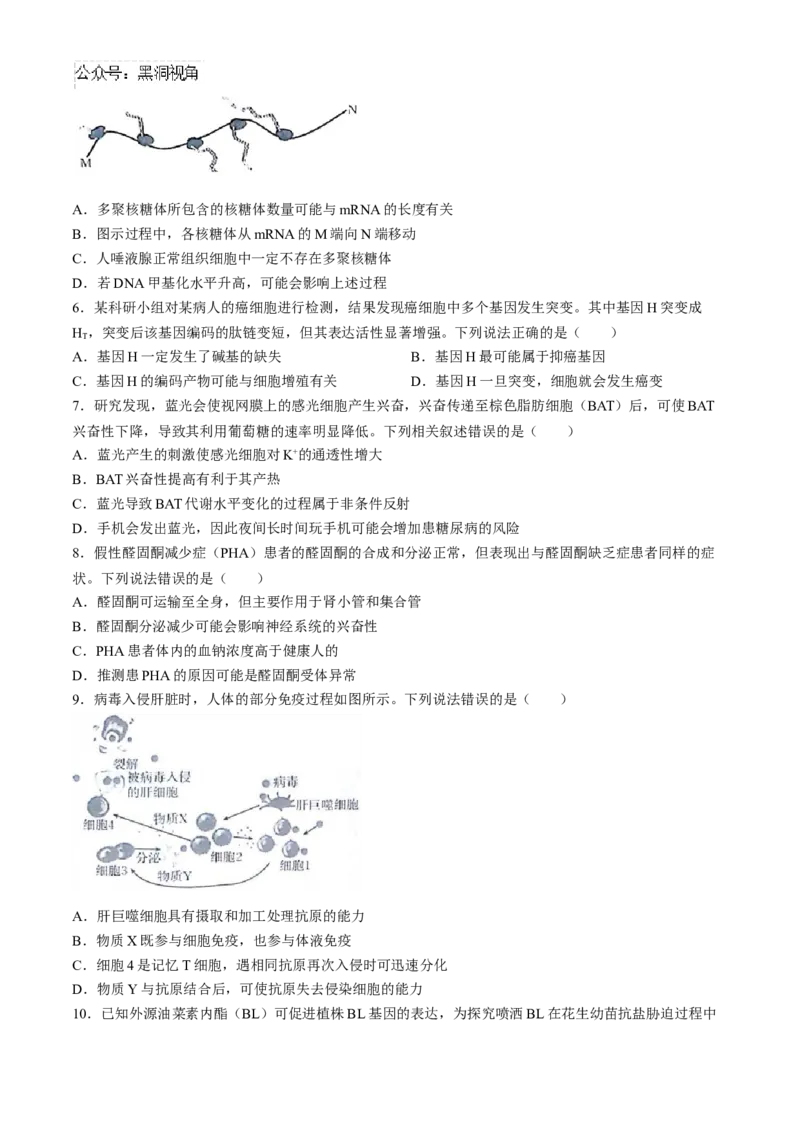 2025届高三金太阳百万9月开学联考生物试卷（有解析）_2024-2025高三（6-6月题库）_2024年09月试卷_09072025届金太阳百万（甘肃、青海、宁夏）高三9月开学大联考（1002C）